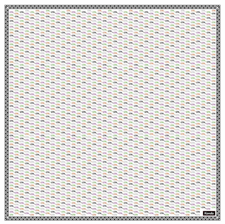 Bandana monogramme CTN